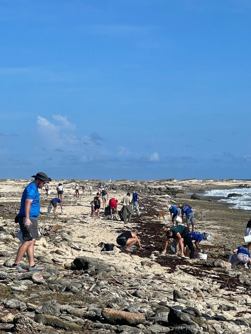 Protecting the health of the sea and all that lives there! International Coastal Clean up